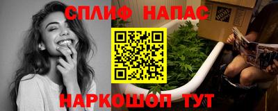 гидра Будённовск