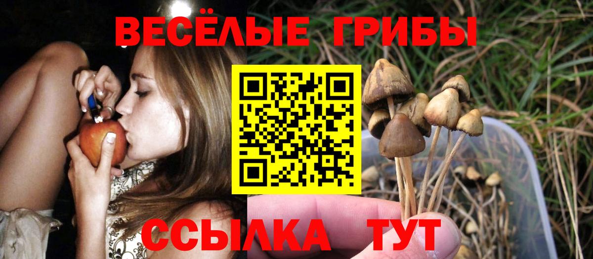 Псилоцибиновые грибы GOLDEN TEACHER Киреевск