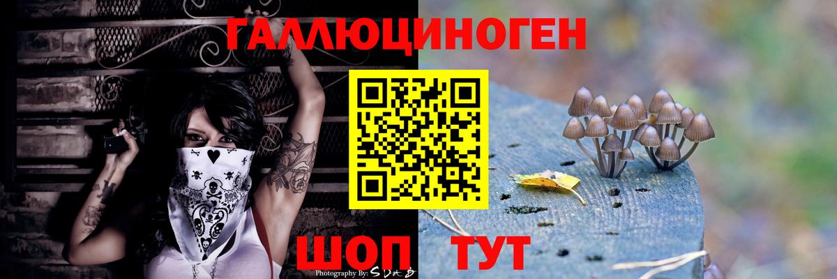 Киреевск  Псилоцибиновые грибы MAGIC MUSHROOMS  Псилоцибиновые грибы Psilocybine cubensis  Вход с VPN 
